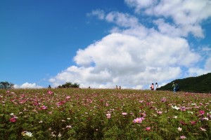 IMG_7623