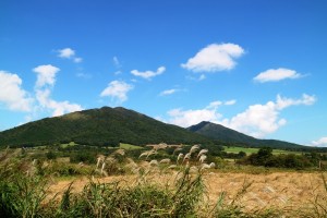 IMG_7637