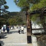 DSCF3441