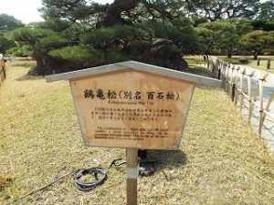 DSCF3447