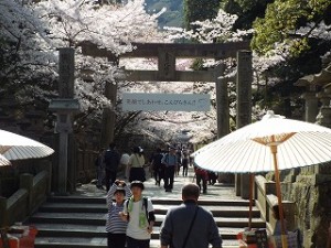 DSCF3507