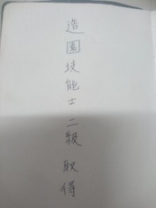 15447759674260